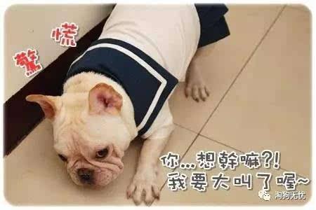 法克成人短视频(法克短视频网址是什么原因)
