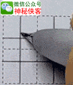 手机视频制作gif(手机视频制作软件哪个好)