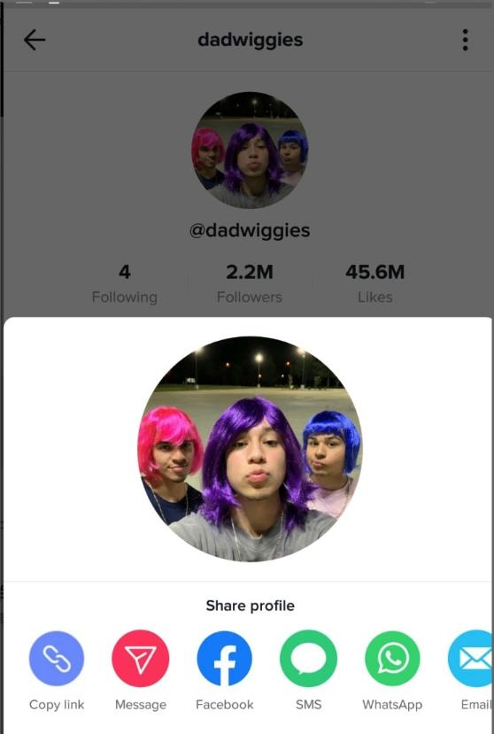 短视频tiktok免登录(tiktok2020年度短视频)