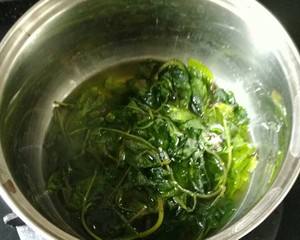高州凉粉草的做法视频(凉草粉的做法大全集视频)