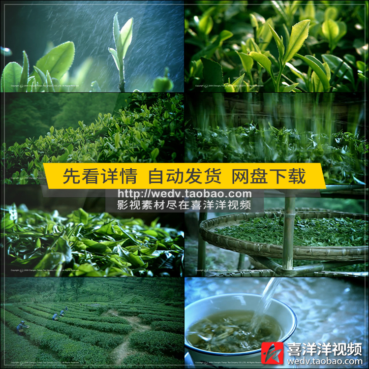 茶叶宣传视频(茶叶宣传视频脚本制作)
