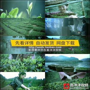 茶叶宣传视频(茶叶宣传视频脚本制作)