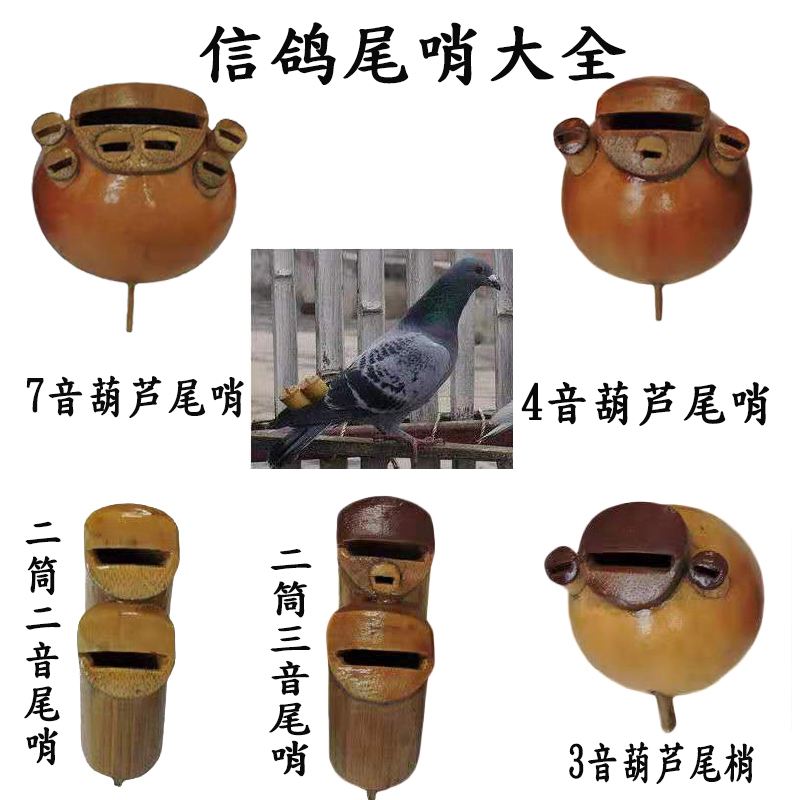 鸽哨制作视频(鸽哨制作方法视频播放)