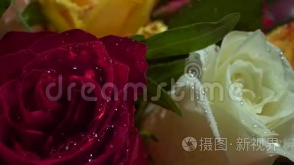 玫瑰花的短视频(玫瑰花的短视频文案)