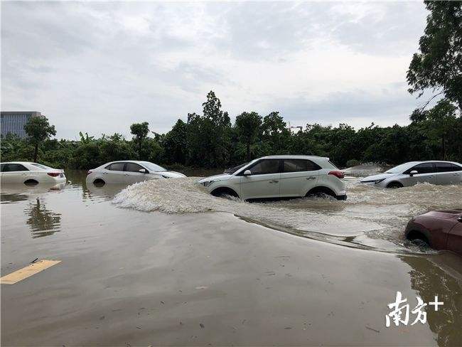 暴雨短视频(暴雨短视频街边)