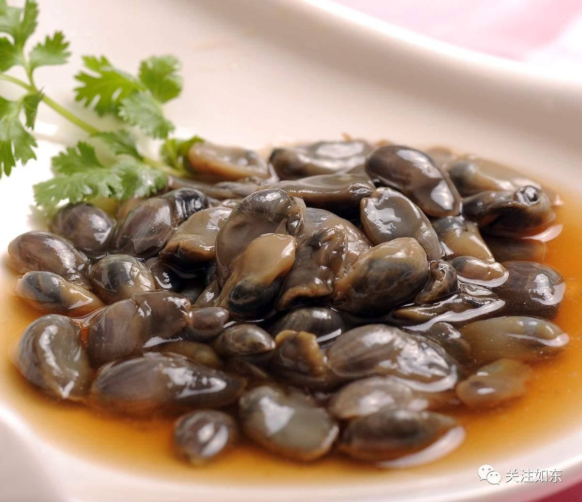 炒泥螺的做法视频(炒泥螺的做法视频大全)