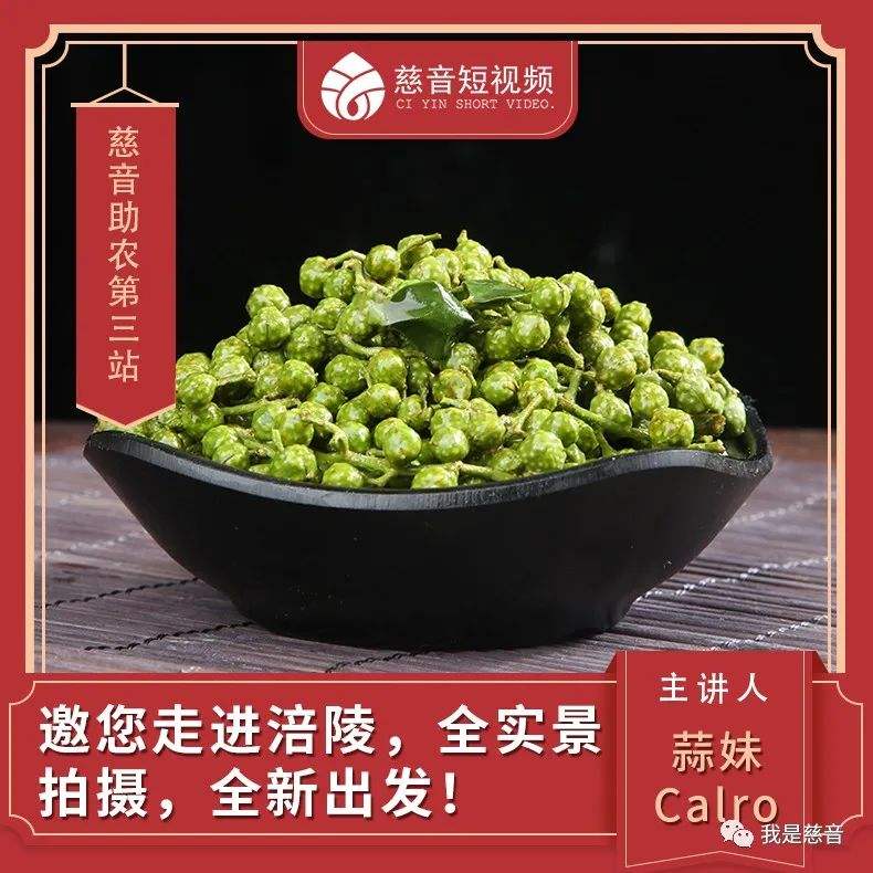 慈音短视频(慈音短视频实名认证安全吗)