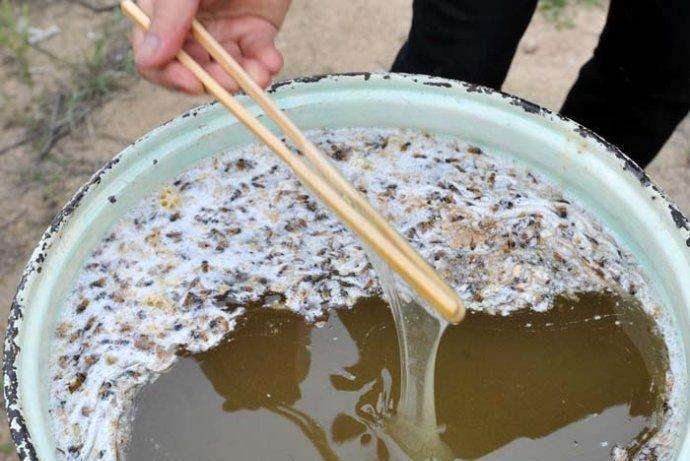 蜂蜜制作过程视频(蜂蜜是怎么做的视频)