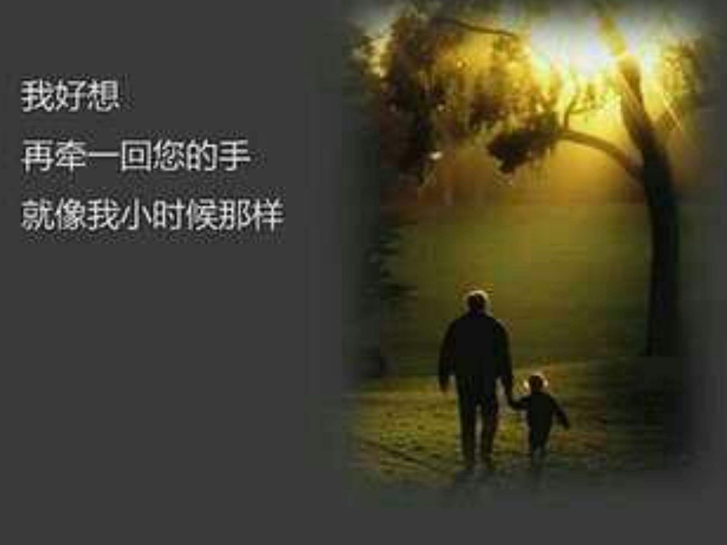 感恩短视频(感恩短视频怎么拍)