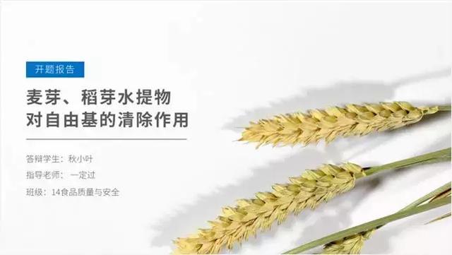 ppt怎么做画中画视频