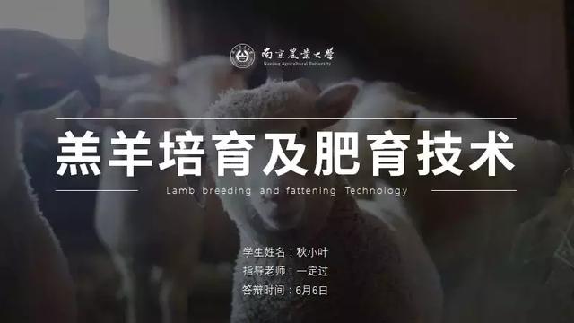 ppt怎么做画中画视频