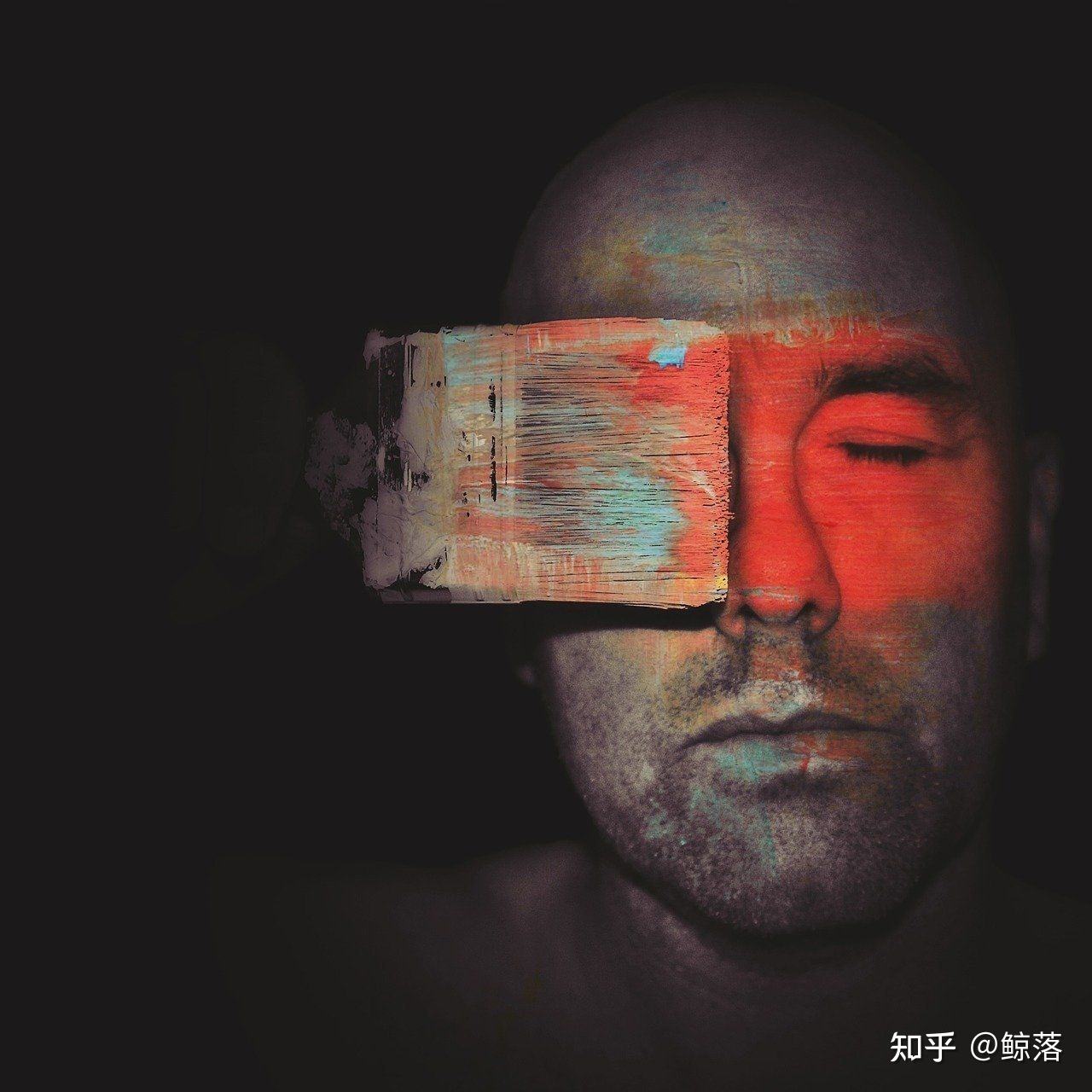 鲸落短视频(鲸落的小视频)