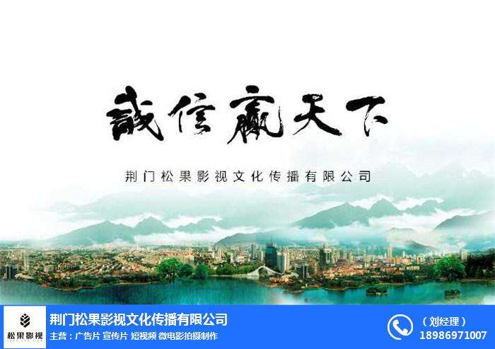 单位宣传视频制作(单位宣传视频制作软件)