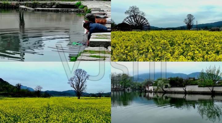 15秒唯美风景短视频(15秒唯美风景短视频花)