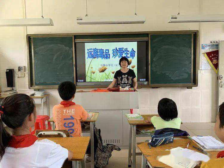 小学禁毒宣传视频(小学禁毒宣传视频教育)