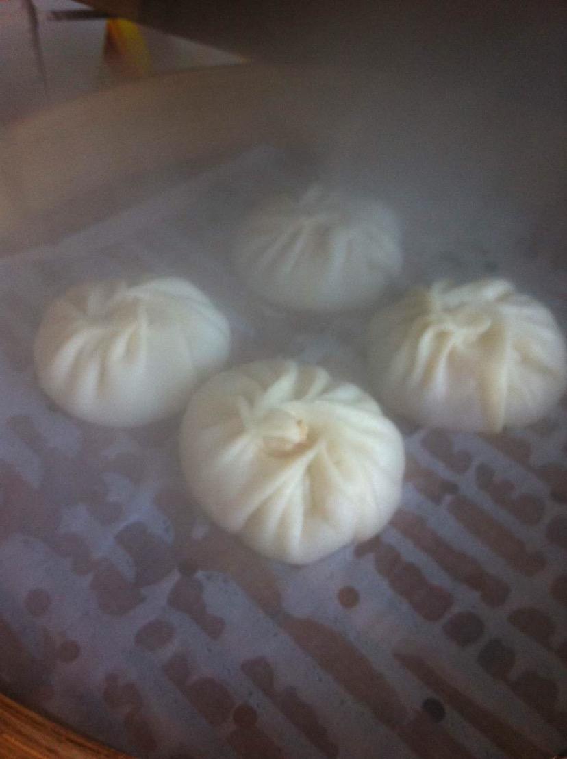 灌汤包的做法视频(灌汤包的做法视频大全)