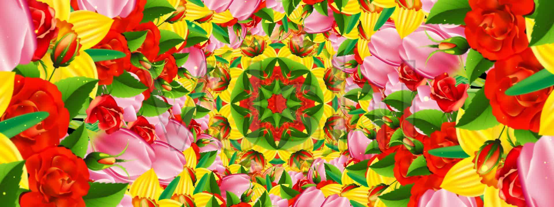 花朵短视频(唯美花朵短视频)