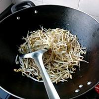 豆芽的制作视频(豆芽的制作视频教程)