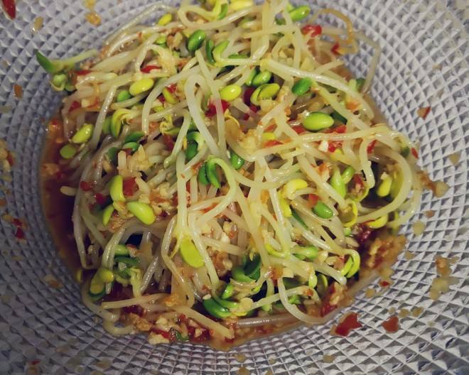 豆芽的制作视频(豆芽的制作视频教程)