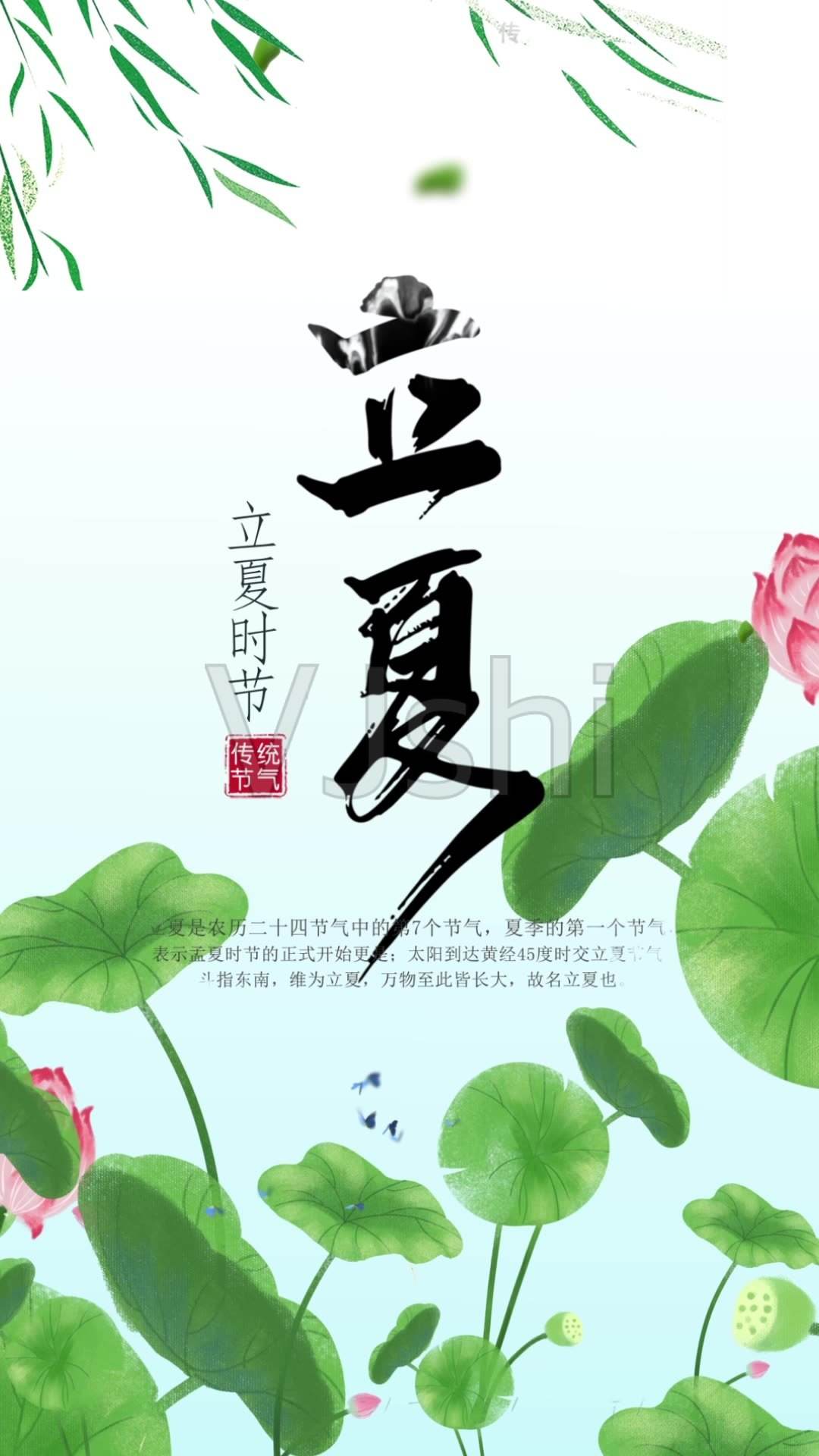 立夏短视频(立夏的小视频)