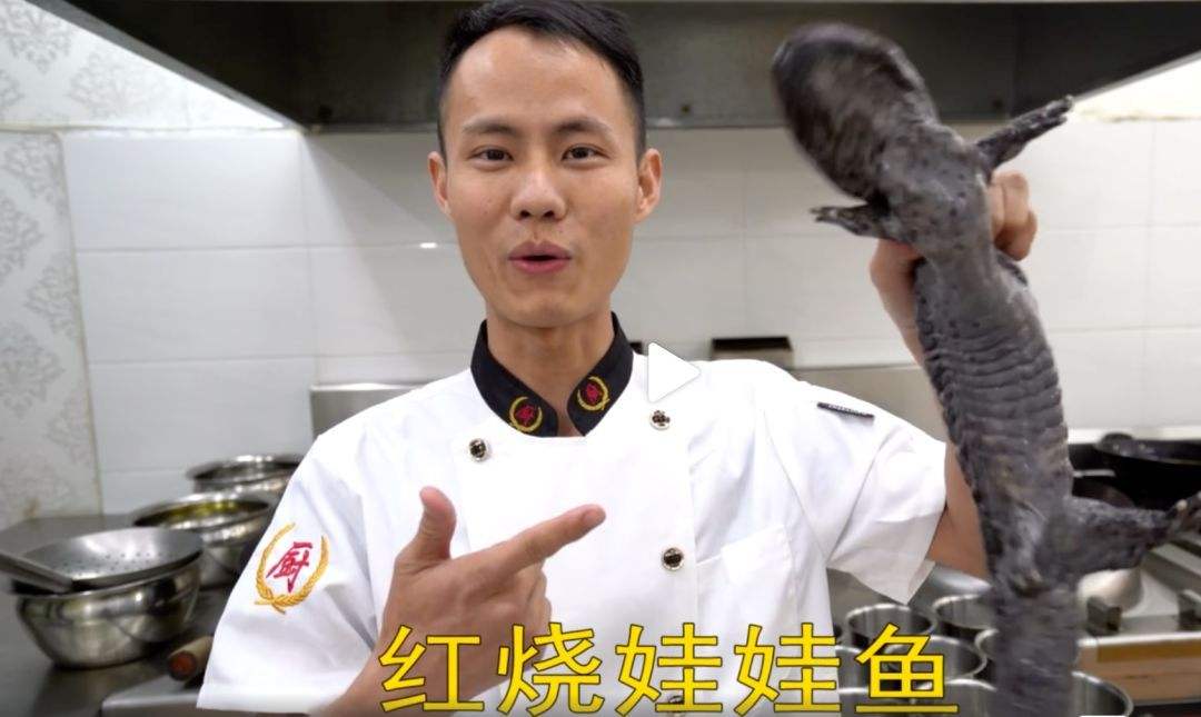 娃娃鱼制作方法视频(娃娃鱼制作方法视频教程)