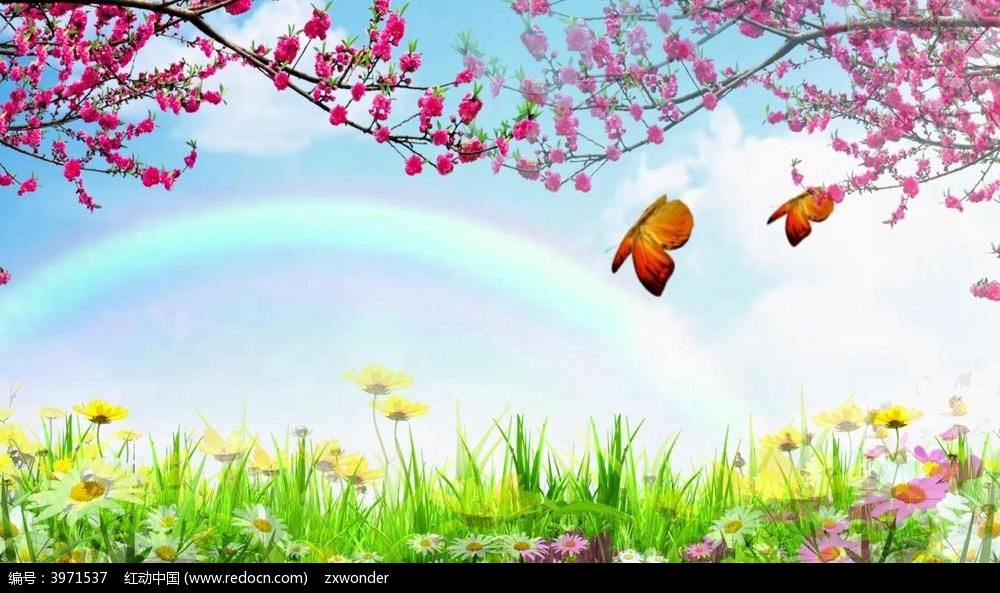 梅花短视频(梅花短视频免费)