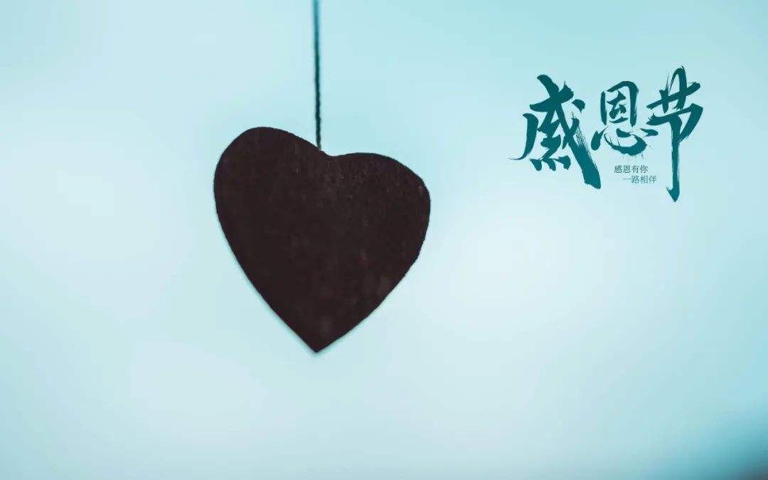 感恩节短视频(感恩节短视频话语)