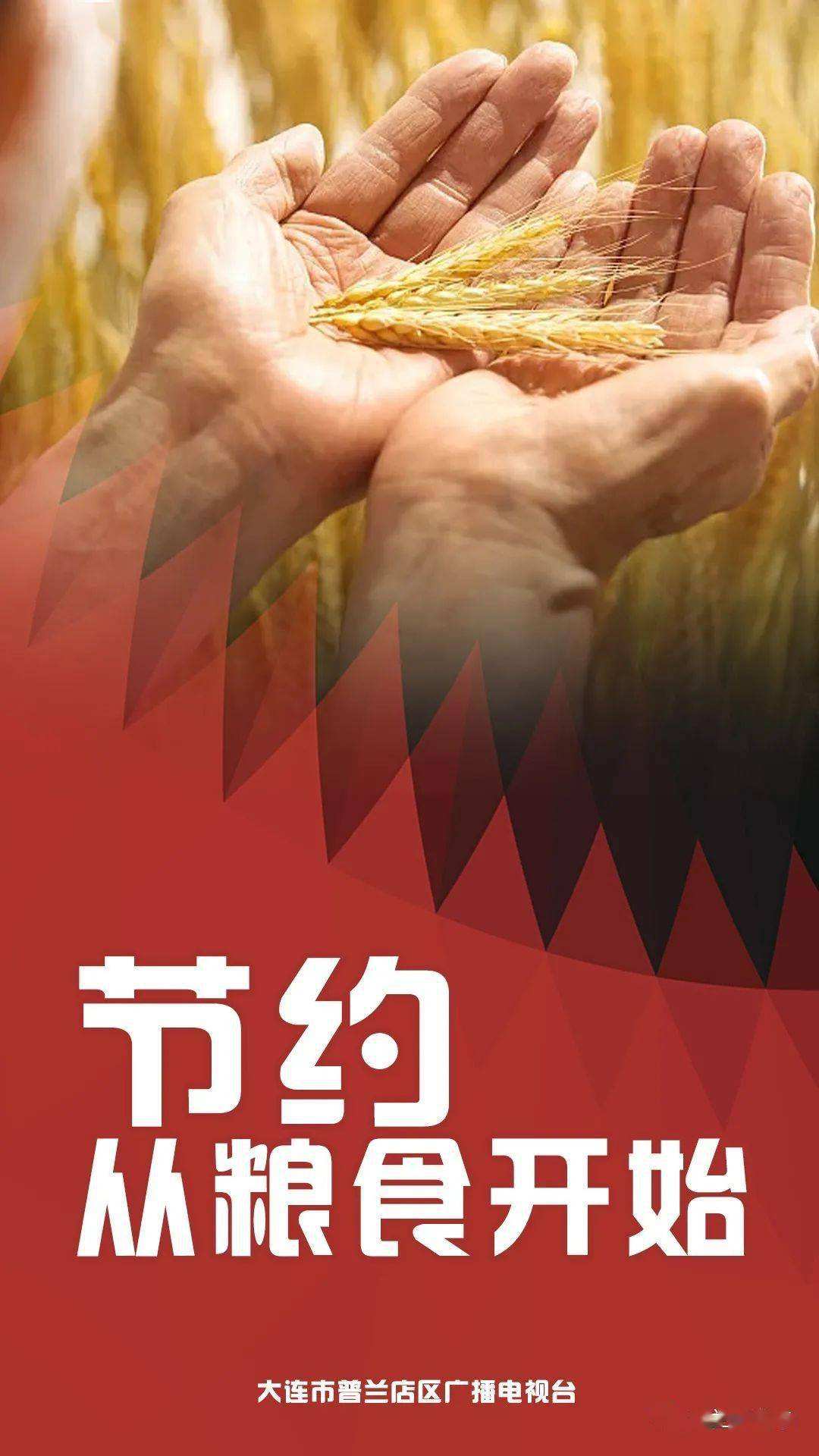 爱惜粮食宣传视频(爱惜粮食宣传视频简短)