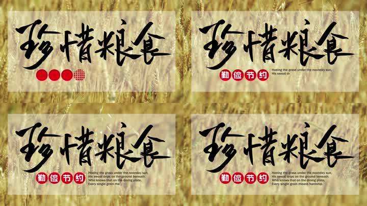 爱惜粮食宣传视频(爱惜粮食宣传视频简短)