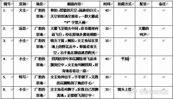 短视频脚本网(短视频脚本网站有哪些)