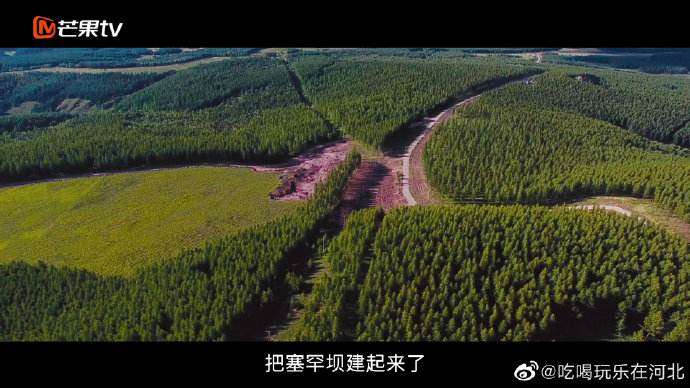 塞罕坝宣传视频(塞罕坝广告视频完整版)