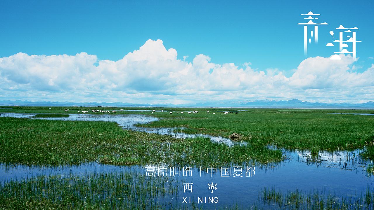 青海宣传视频(青海的视频下载)