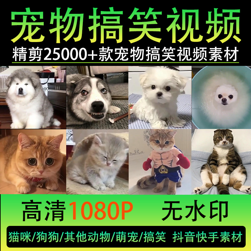 超搞笑短视频(特别搞笑的短视频)