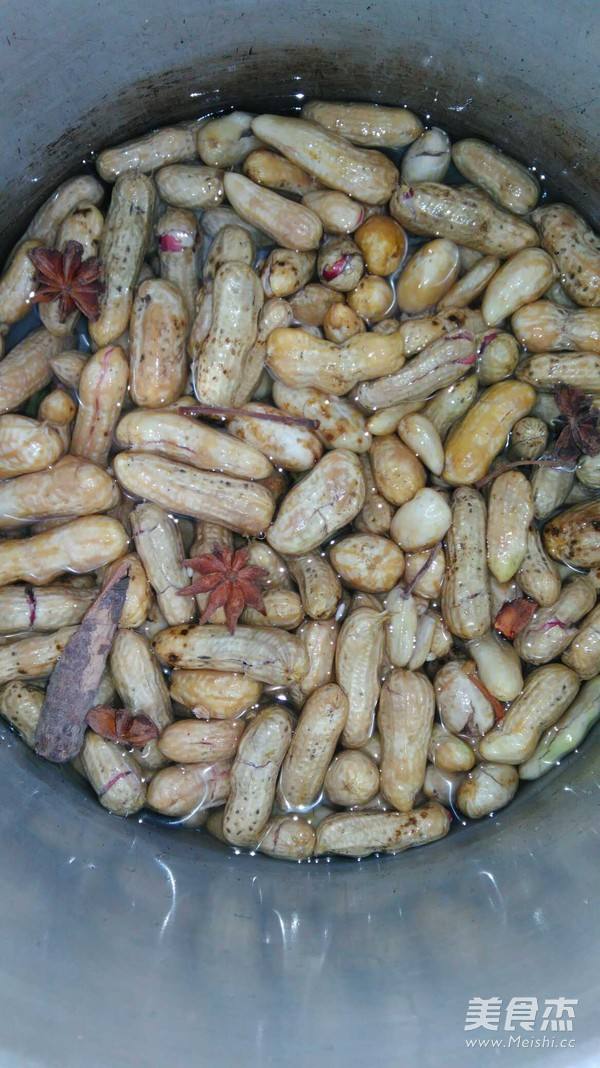 多味花生做法视频(多味花生做法视频播放)