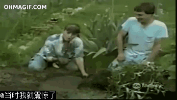 搞笑短视频大全10秒(搞笑短视频大全10秒完整版)