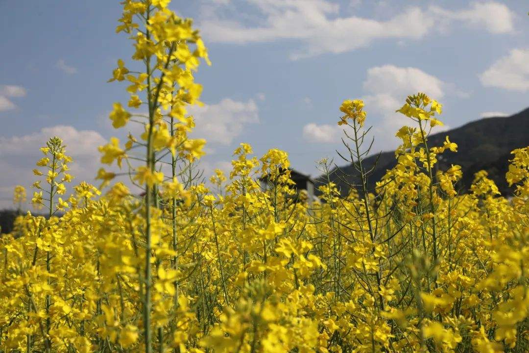 可以保存的风景短视频(可以保存的风景短视频在哪里找)