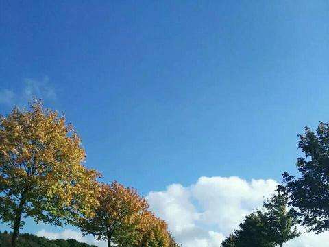 可以保存的风景短视频(可以保存的风景短视频在哪里找)
