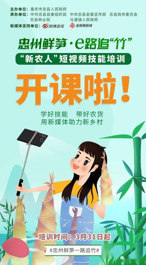 关于51短视频的信息