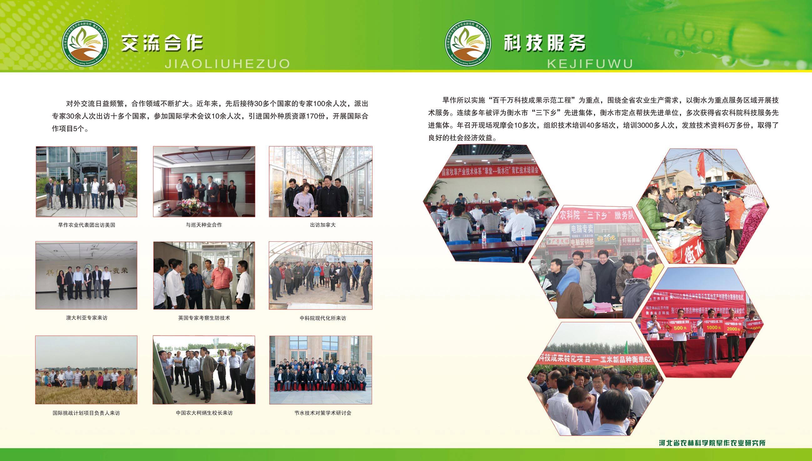 短视频橱窗(短视频橱窗带货有播放量没有出单什么原因)
