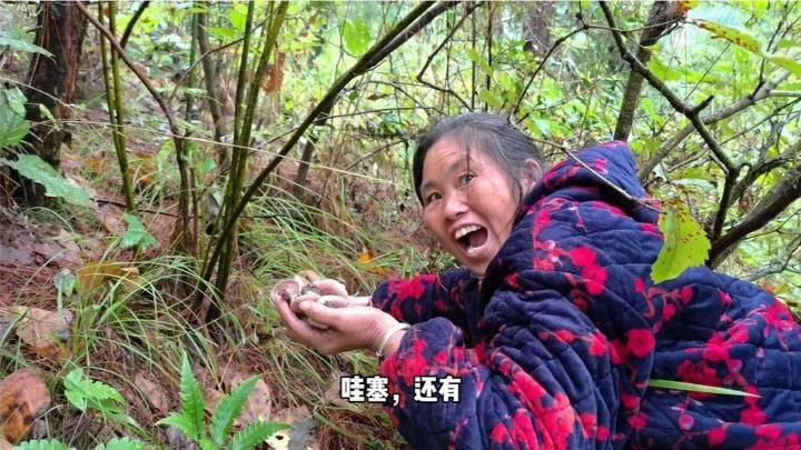 售卖视频(售卖视频课程犯法吗)