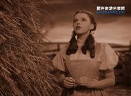 绿野仙踪短视频(绿野仙踪的小视频)