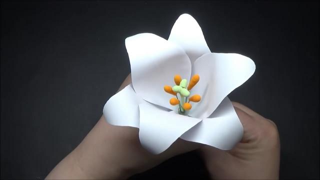 百合花的制作方法视频