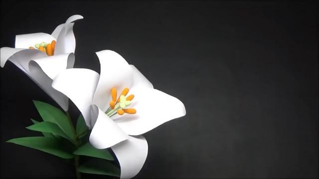 百合花的制作方法视频