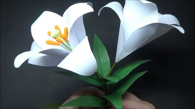 百合花的制作方法视频