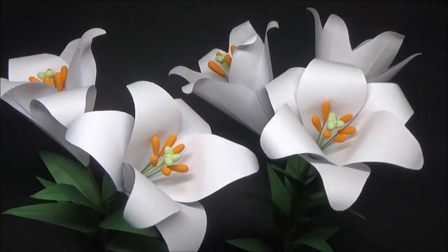 百合花的制作方法视频