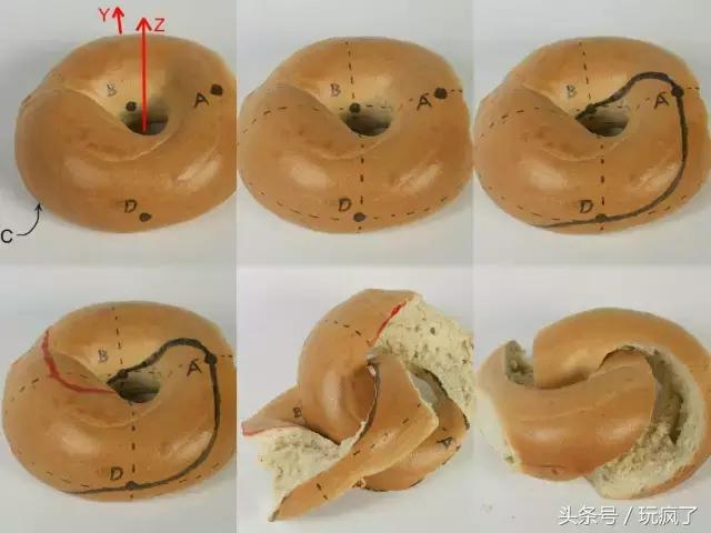 莫比乌斯带的做法视频