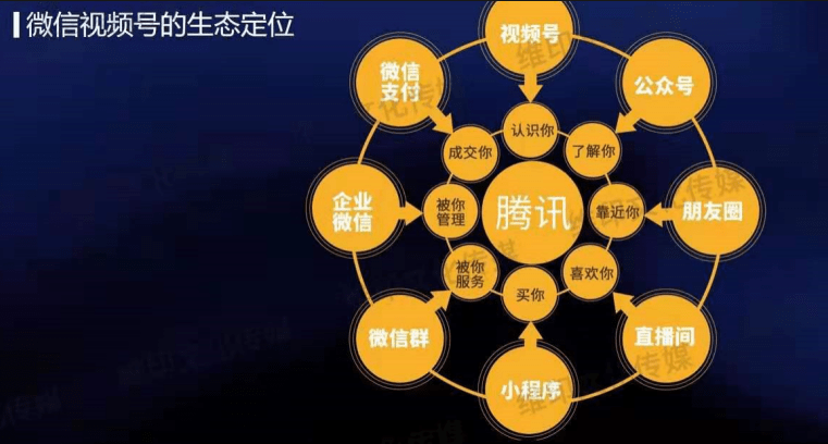 视频号网络营销(视频号网络营销方案)