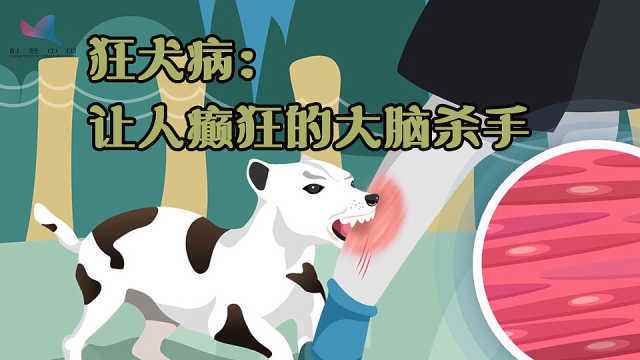 狂犬病宣传视频(狂犬病的视频做的视频)