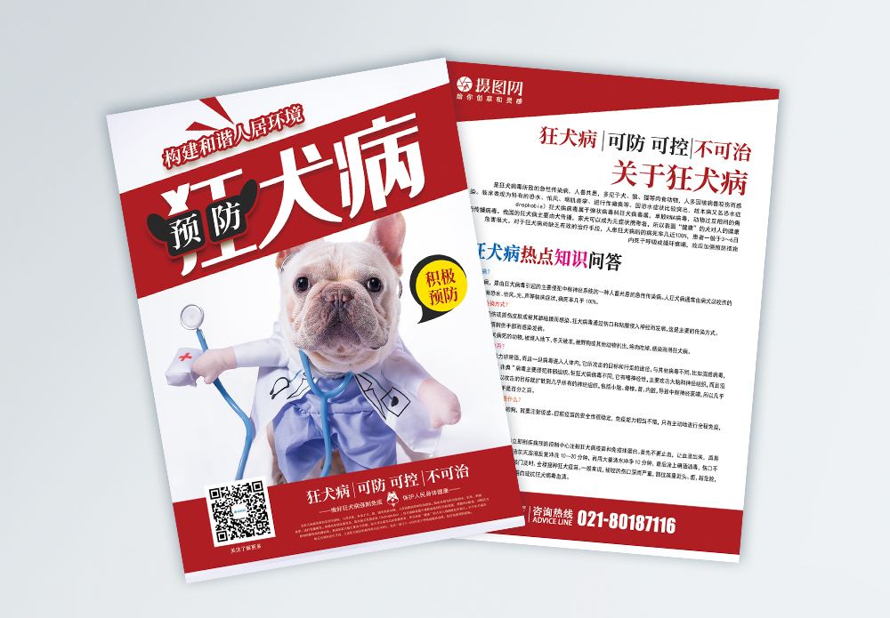 狂犬病宣传视频(狂犬病的视频做的视频)