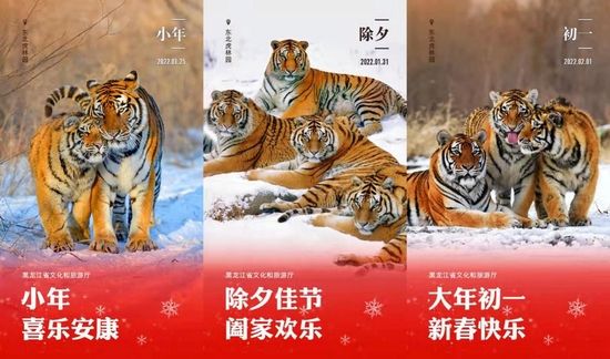 黑龙江宣传视频(黑龙江卫视宣传片)